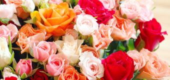 赤いバラが持つ意味とは？大切な人へのギフトには一輪薔薇がおすすめ