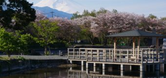 新緑の静岡 富士山を巡る清流地「柿田川公園」