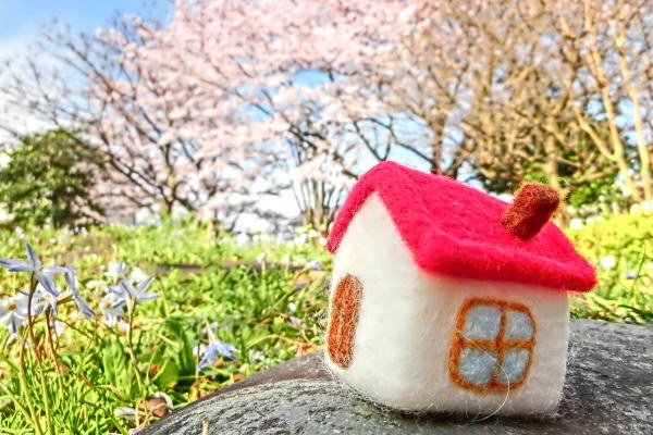 お引越し祝いの画像