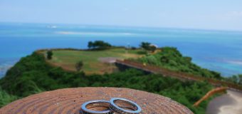 沖縄の北部～南部を巡るドライブ 絶景とヤンバルクイナを探す旅編